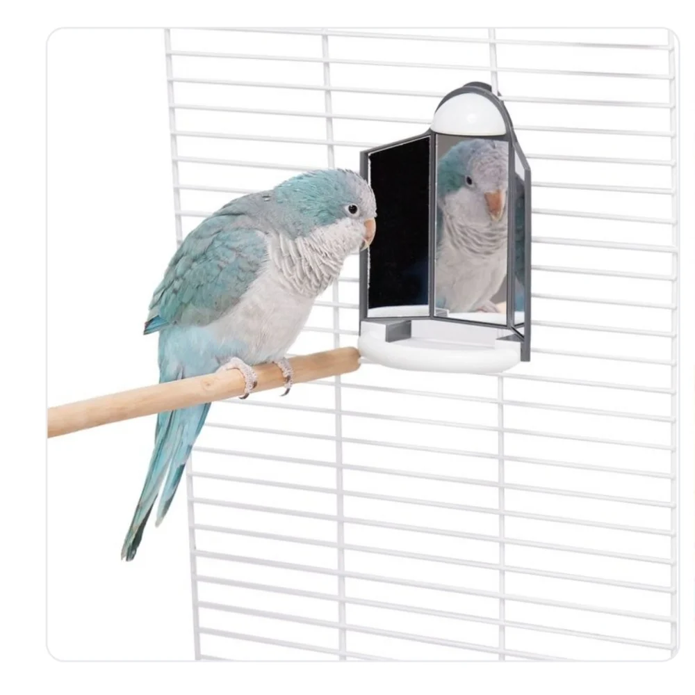 All Things Vanity Bird Mirror